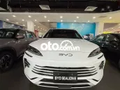 BYD Sealion 6 2025 + Xe Mới
