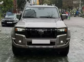 Xe cực đẹp màu đồng- nội thất kem