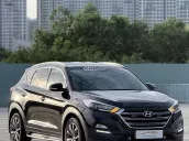 1 chủ từ đầu gốc SG