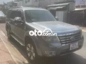 Ford Everest 2009 màu xám ximang đẹp