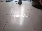 Terav6 2024 5 chỗ 4300km