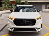 Xe cực đẹp, bản cao cấp