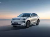 Nhận cọc tiên phong