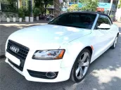 Audi A5 2010 2.0 mui xếp xe cọp sưu tầm