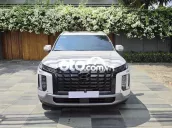 Hyundai Palisade Bản cao cấp Trắng