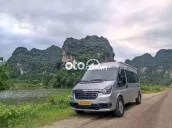 Ford Transit 2023 Bạc 126000 km