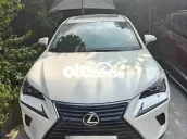 Lexus NX300 sx 2019 Nhập Nhật Bản