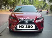 Lexus NX 300 2019 Đỏ 72136 km