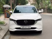 Xe cực mới, hỗ trợ vay cao