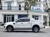 Ford Wildtrak 2019 bitubo 2.0