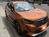 Peugeot 2008 2021 Cam