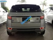 Xe Land Rover Range Rover Evogue Dinamic 2013