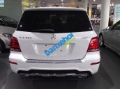 Xe Mercedes-Benz GLK Class 250 AMG 2014