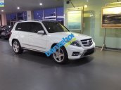 Xe Mercedes-Benz GLK Class 250 AMG 2014