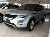 Xe Land Rover Range Rover Evogue Dinamic 2013