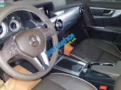 Xe Mercedes-Benz GLK Class 250 AMG 2014