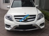 Xe Mercedes-Benz GLK Class GLK 250 AMG 2014