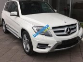 Xe Mercedes-Benz GLK Class GLK 250 AMG 2014