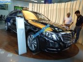 Xe Mercedes-Benz S class S500 2014