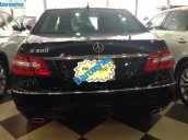 Xe Mercedes-Benz E class 300 2009