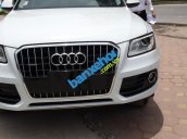 Xe Audi Q5  2014