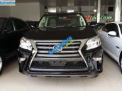 Xe Lexus GX 460 2014