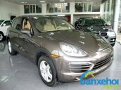 Xe Porsche Cayenne  2011