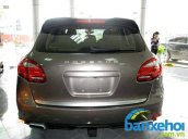 Xe Porsche Cayenne  2011