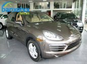 Xe Porsche Cayenne  2011