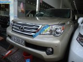 Xe Lexus GX 460 2010