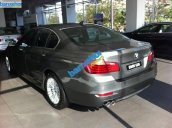 Xe BMW 5 Series 520i 2014