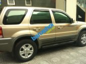 Xe Ford Escape 3.0 4X4 XLT 2004