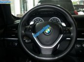 Xe BMW X6 3.0 xDrive 2008