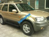 Xe Ford Escape 3.0 4X4 XLT 2004