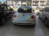 Xe Volkswagen Beetle  2008