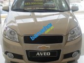 Xe Chevrolet Aveo LT 2014