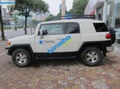 Xe Toyota Fj cruiser  2010