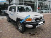 Xe Toyota Fj cruiser  2010