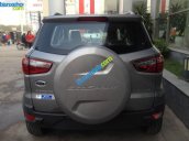 Bán ô tô Ford EcoSport Titanium sản xuất 2017, màu xám - Hỗ trợ đăng ký, đăng kiểm, trả góp, giá rẻ nhất tại Vĩnh Phúc