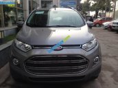 Bán ô tô Ford EcoSport Titanium sản xuất 2017, màu xám - Hỗ trợ đăng ký, đăng kiểm, trả góp, giá rẻ nhất tại Vĩnh Phúc