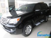 Xe Lexus GX 460 2010