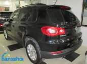 Xe Volkswagen Tiguan  2010