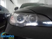 Xe BMW X6  2008