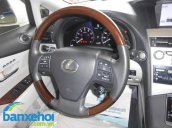 Xe Lexus RX 350 2010