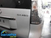 Xe Lexus GX 460 2013