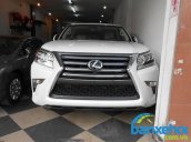 Xe Lexus GX 460 2013