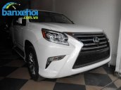 Xe Lexus GX 460 2013