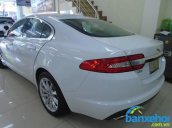 Xe Jaguar XF  2013