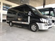 Bán gấp xe Solati Limousine siêu VIP 10 ghế massage cao cấp - giá như thanh lý - chỉ trả 20% nhận xe ngay