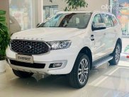 Ford Everest _ 2021 ưu đãi mùa dịch giảm tiền mặt + Tặng PK chính hãng, hỗ trợ trả góp sẵn xe giao ngay Ford Everest _ 2021 ưu đãi mùa dịch giảm tiền mặt + Tặng PK chính hãng, hỗ trợ trả góp sẵn xe giao ngay
